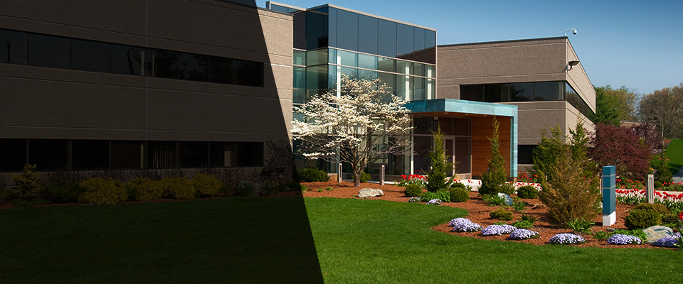 Breaux Bridge Landscapers