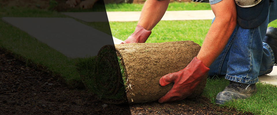 Breaux Bridge Landscapers